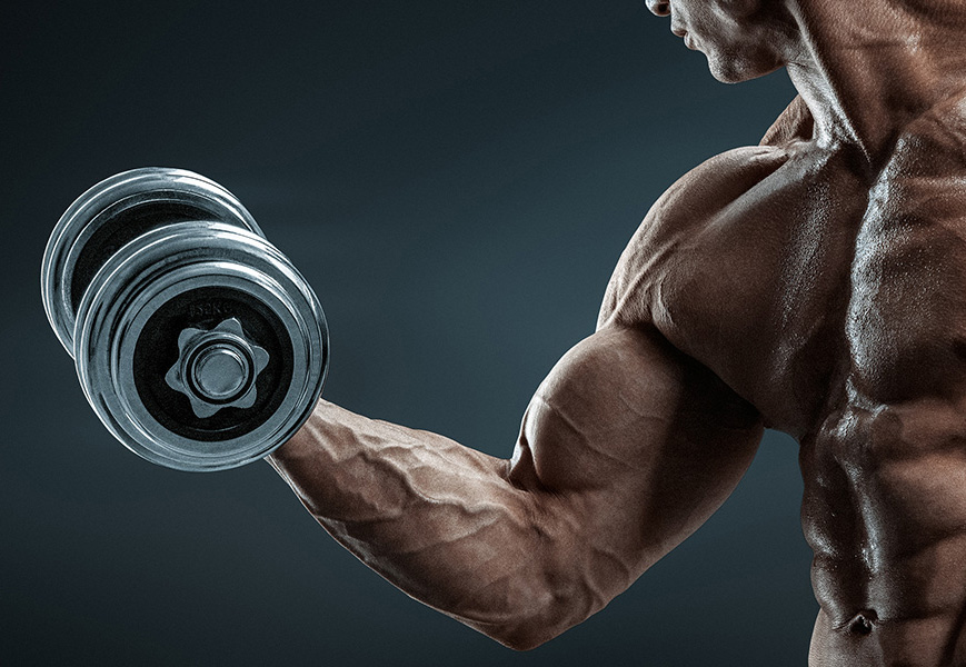biceps_header