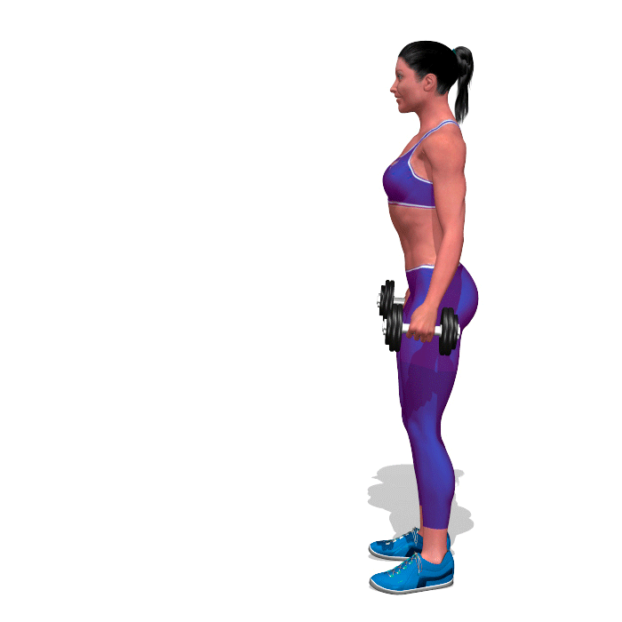 weighted-lunges