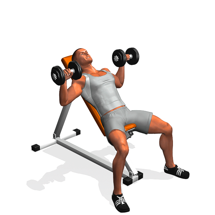 weighted-lunges